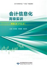 会计信息化高级实训